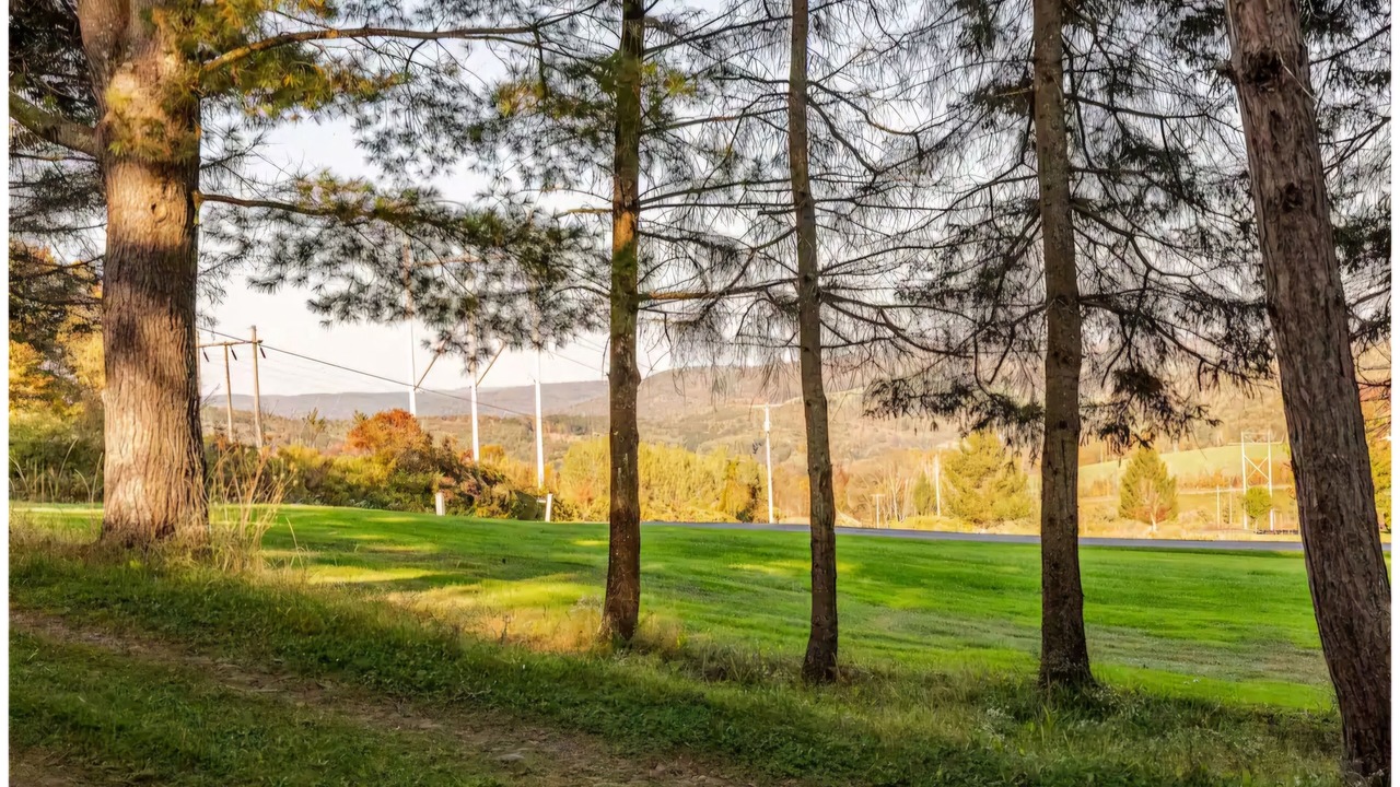 Photo of Others in Afton