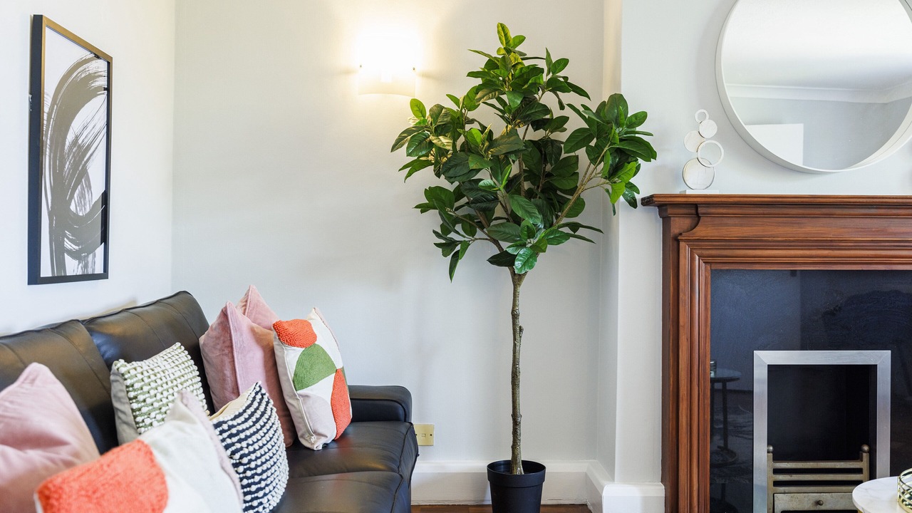 Photo of Others in Fairfield