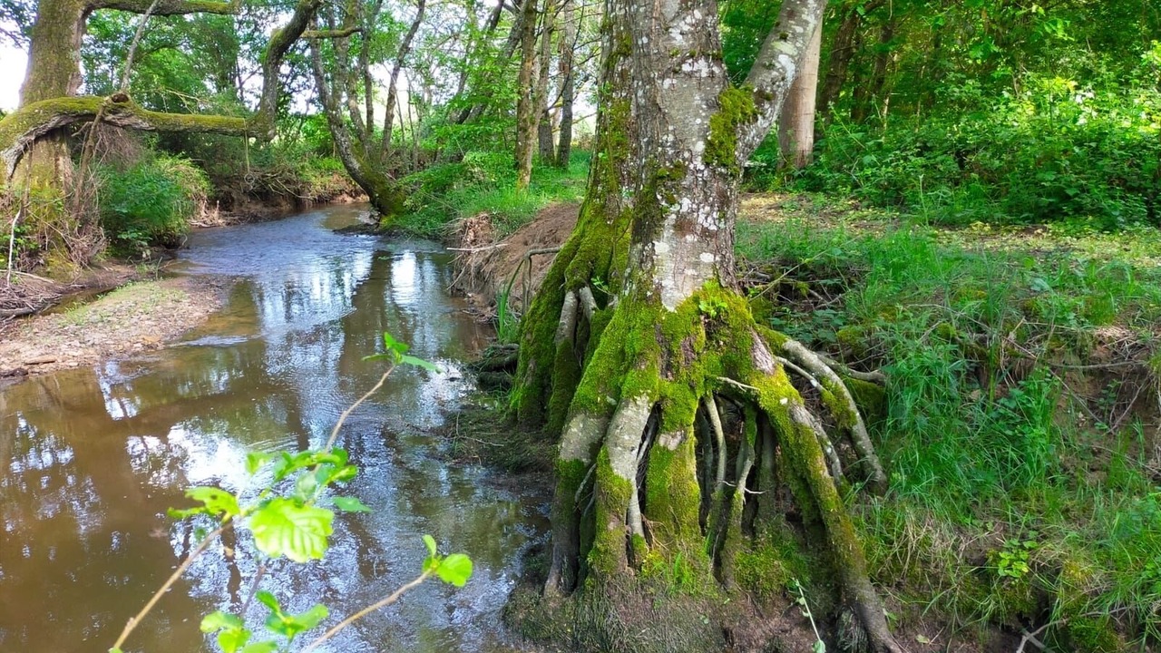 Photo of Outdoor in Saint-Didier-sur-Arroux