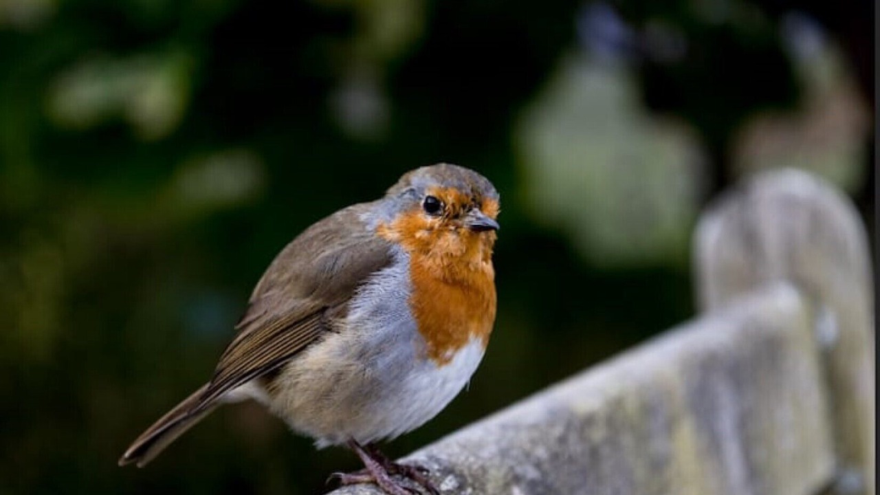 Photo of Others in Pont-ar-gothi