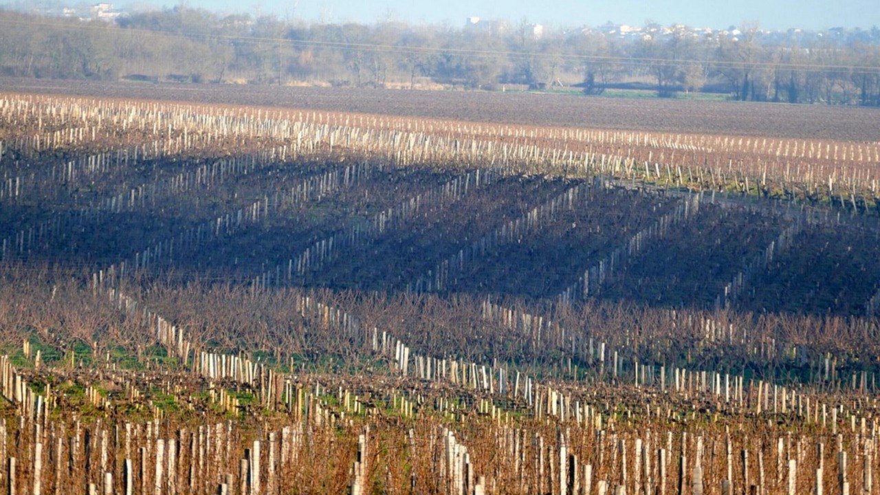 Photo of Outdoor in Margaux