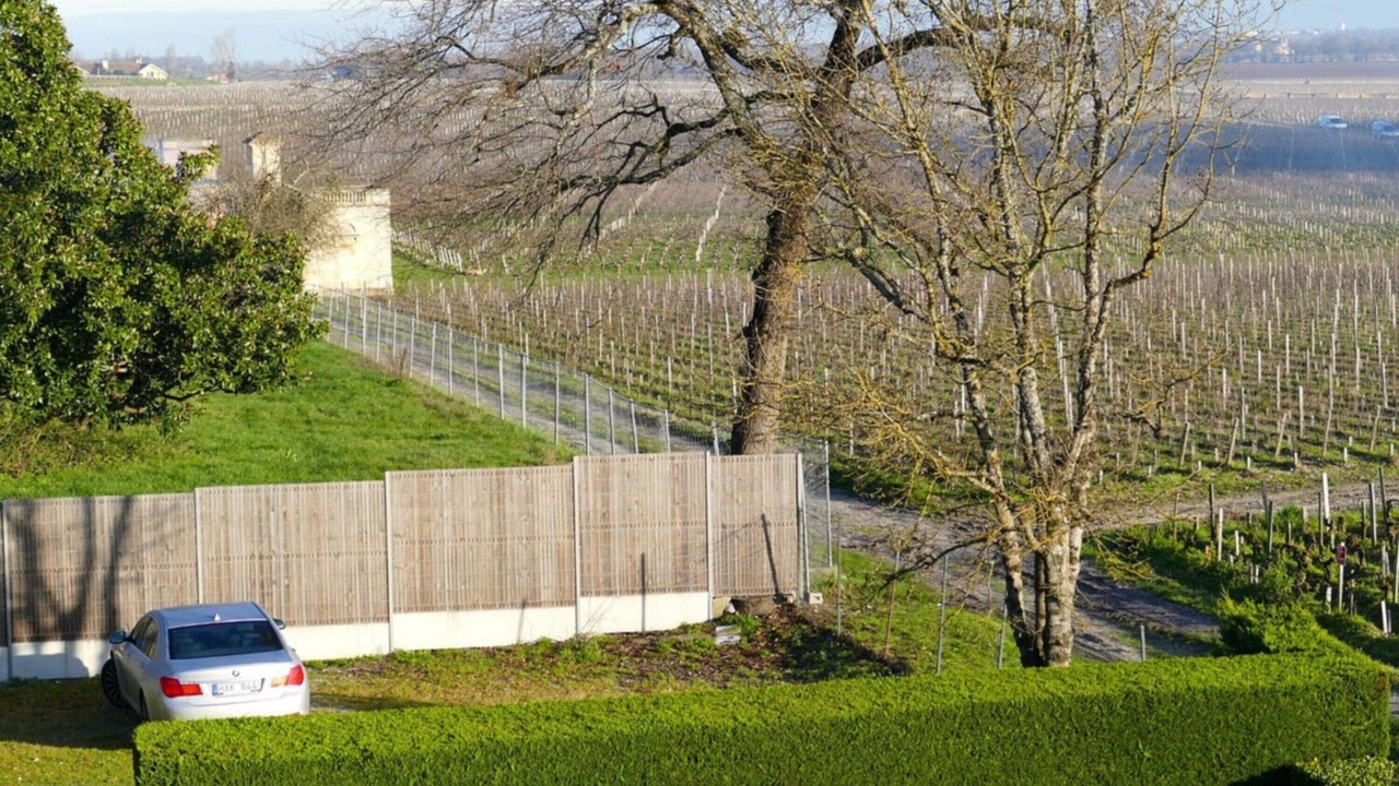 Photo of Others in Margaux