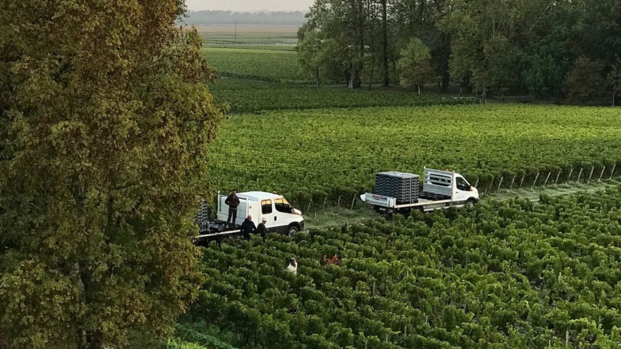 Photo of Outdoor in Margaux