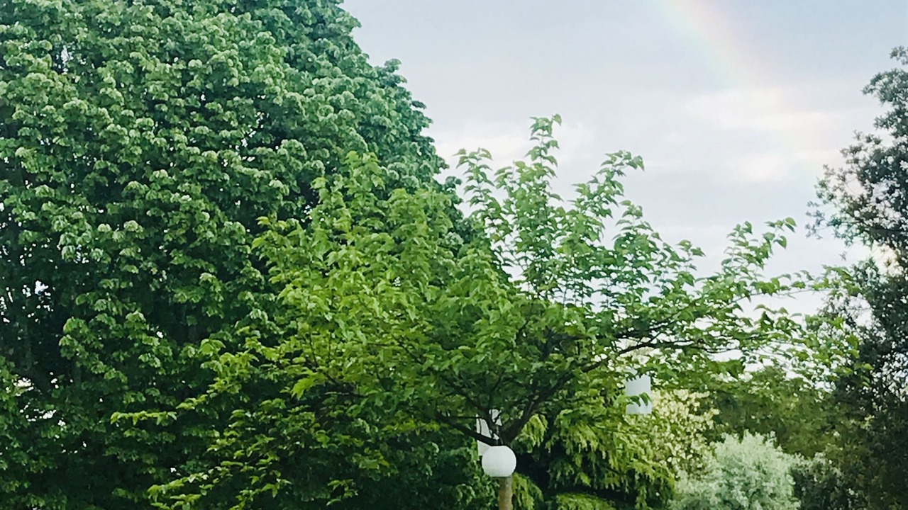 Photo of Outdoor in Forcalquier