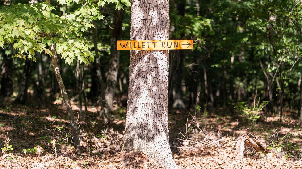 Photo of Outdoor in Great Cacapon