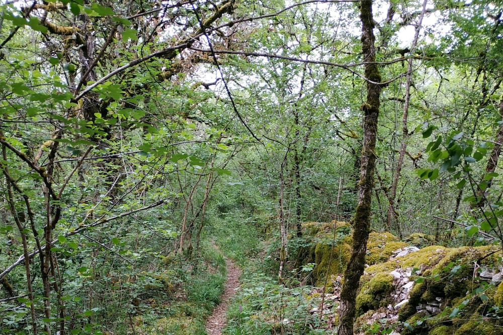 Photo of Outdoor in Sarrazac