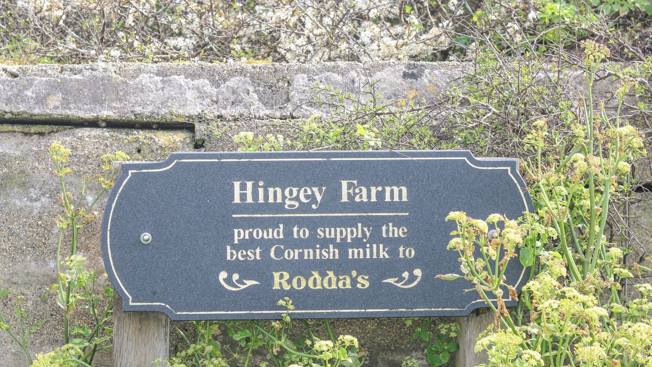 Photo of Others in Gunwalloe