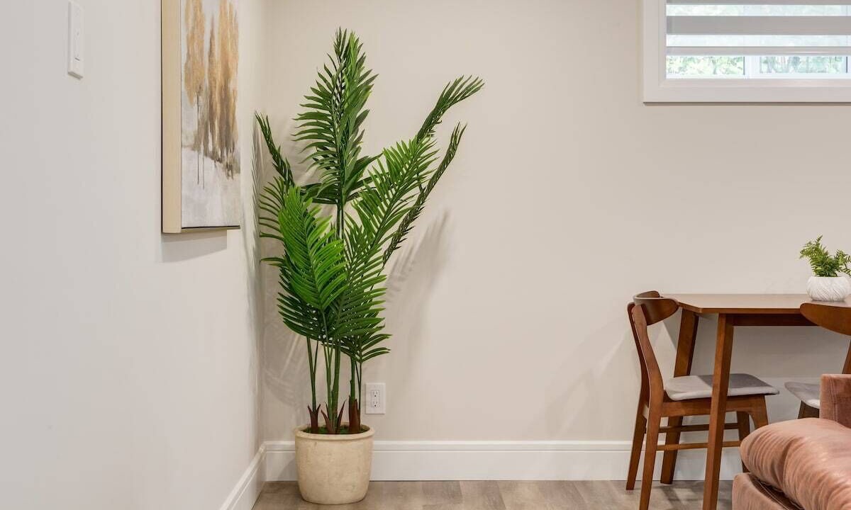 Photo of Others in Brentwood