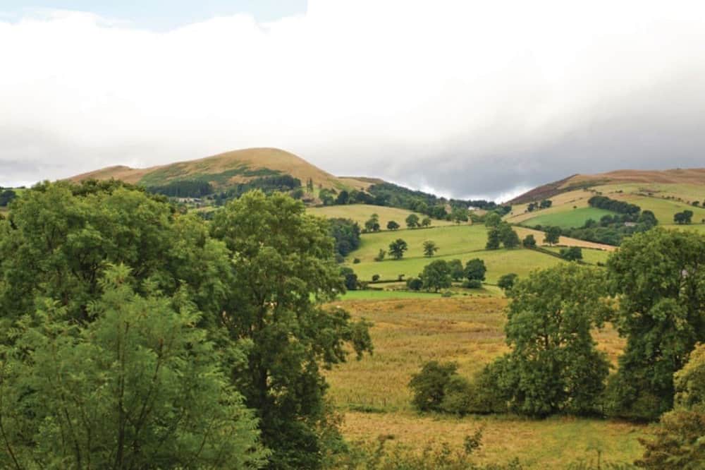 Photo of Others in Graigfechan