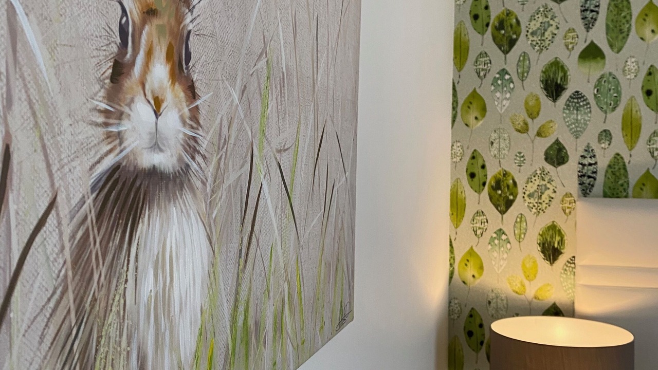 Photo of Others in Widemouth Bay