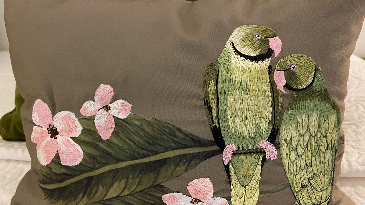 Photo of Others in Widemouth Bay