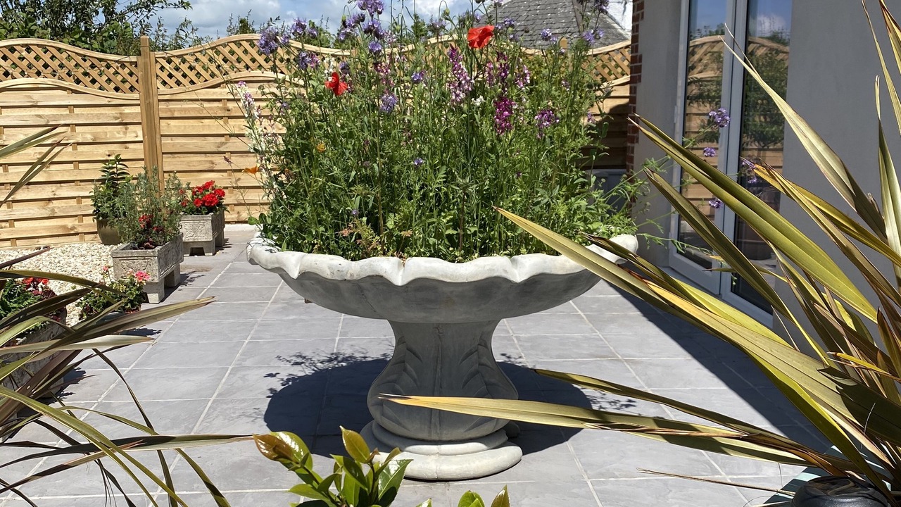 Photo of Outdoor in Widemouth Bay