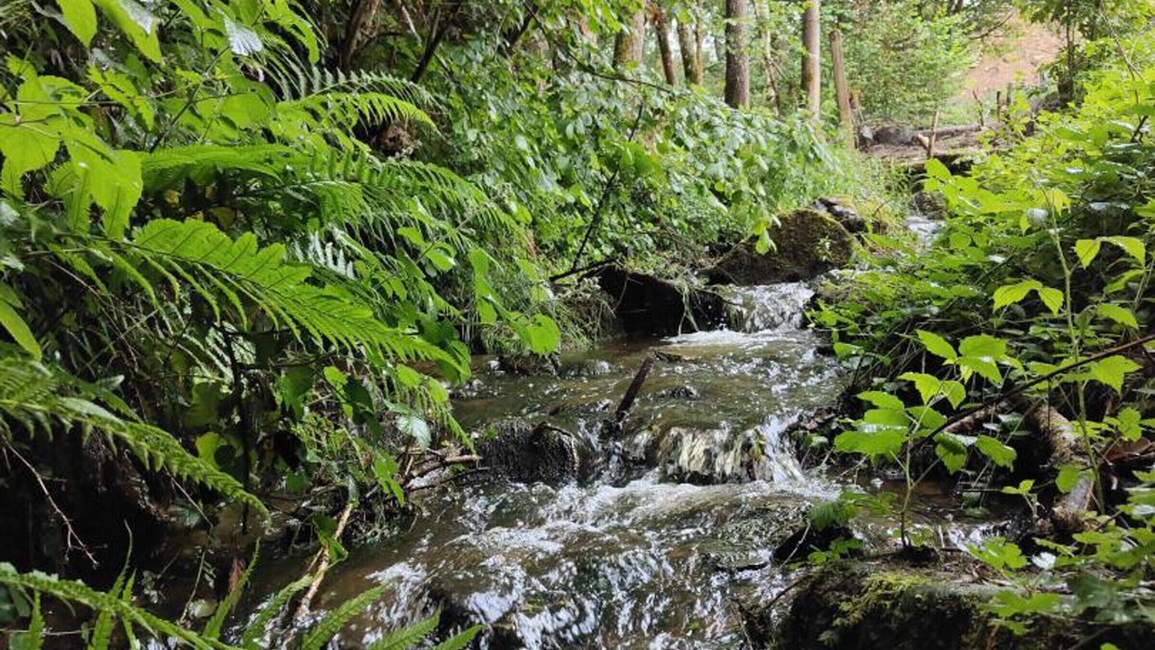 Photo of Outdoor in Cherier