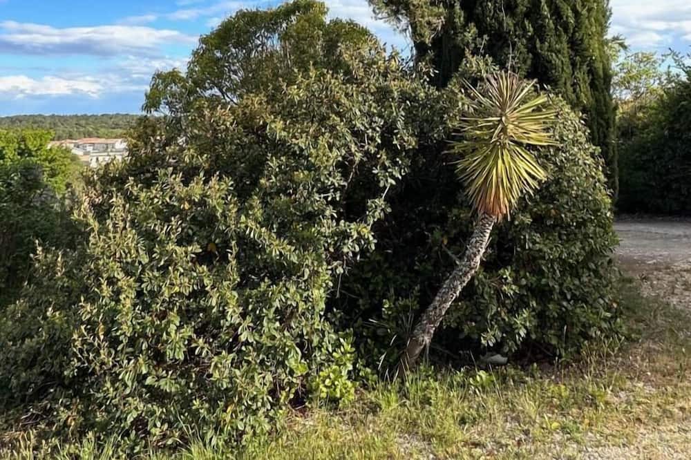 Photo of Others in Montarnaud