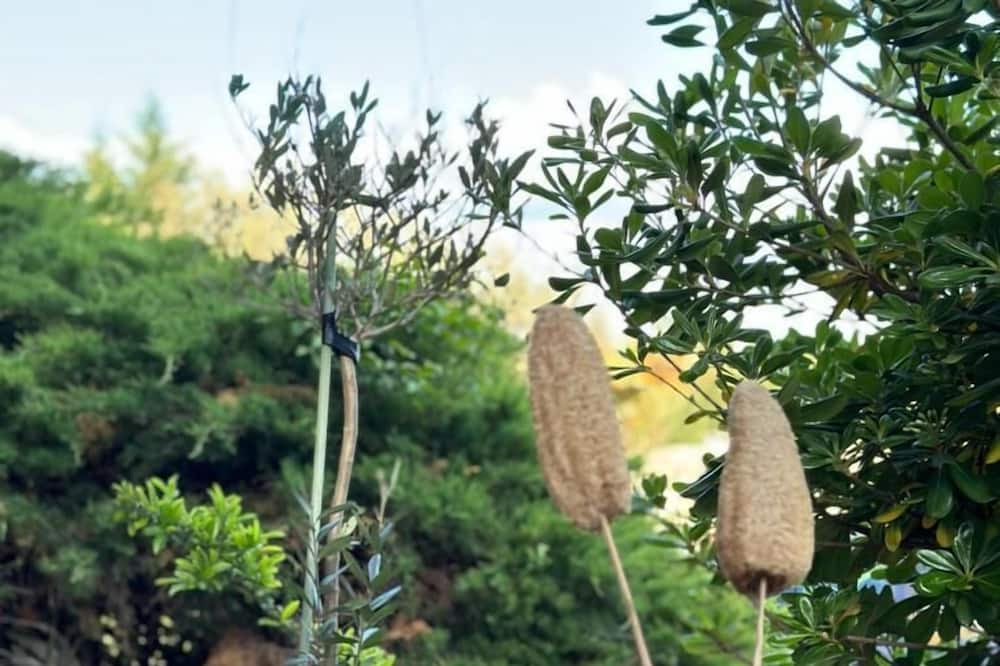 Photo of Others in Montarnaud