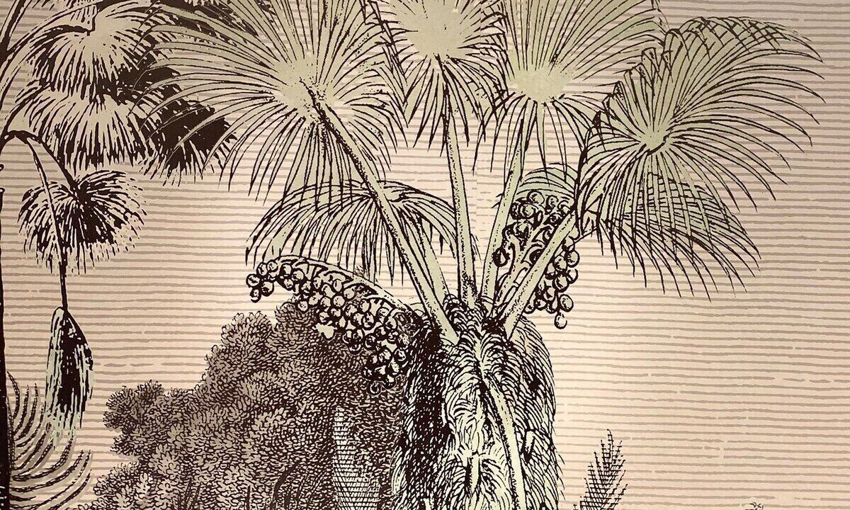 Photo of Others in Cleveland