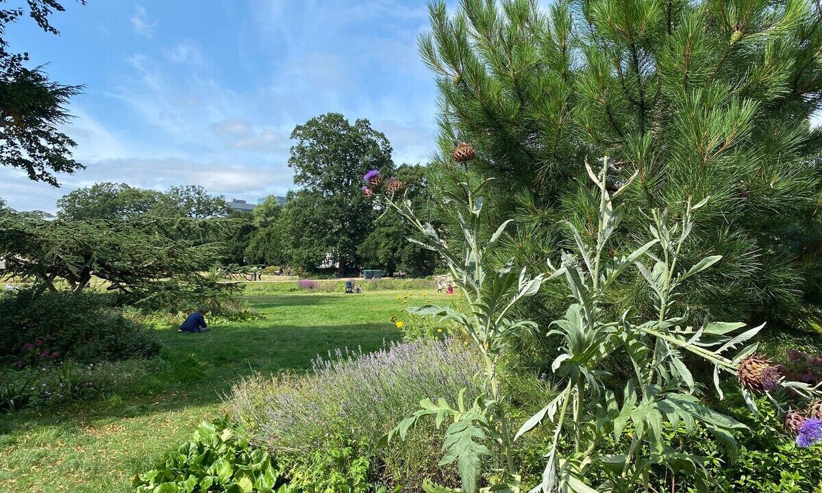 Photo of Outdoor in Cleveland