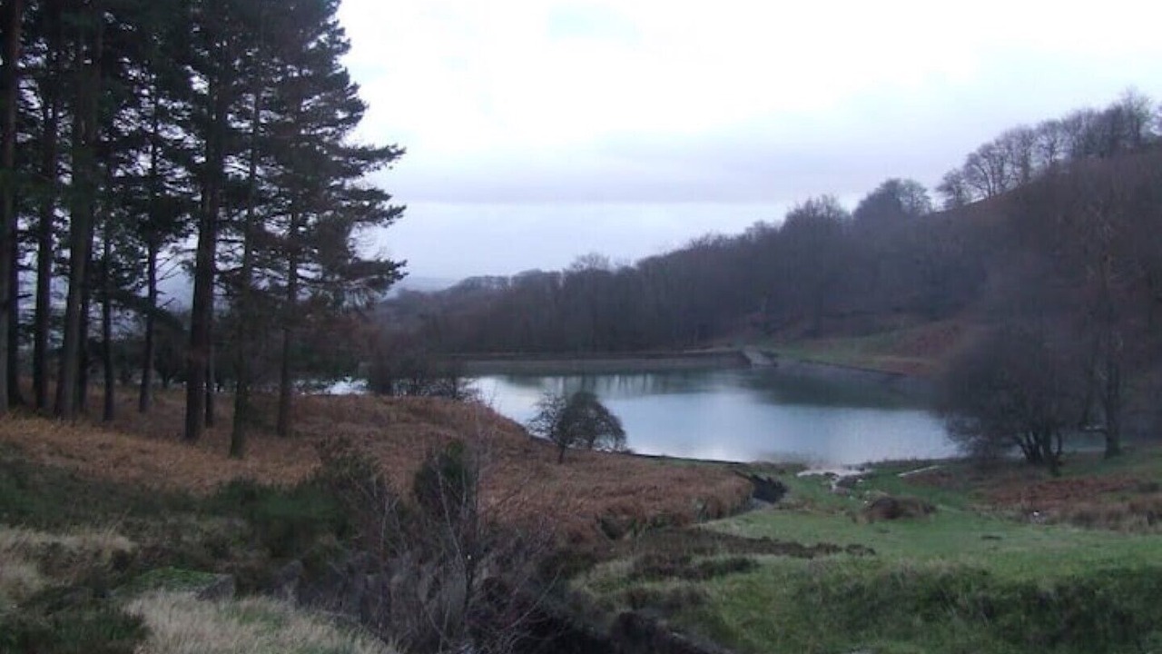 Photo of Others in Cwmbran