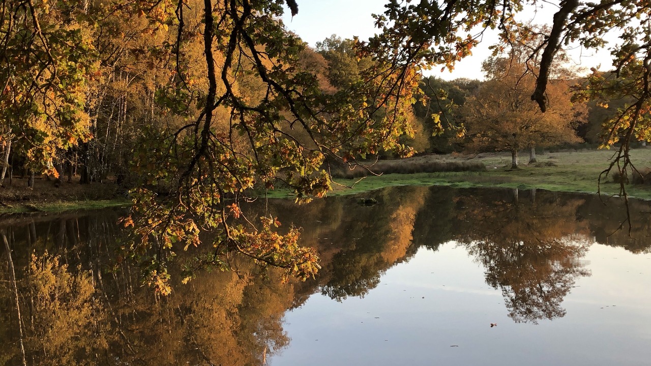 Photo of Outdoor in Fromental