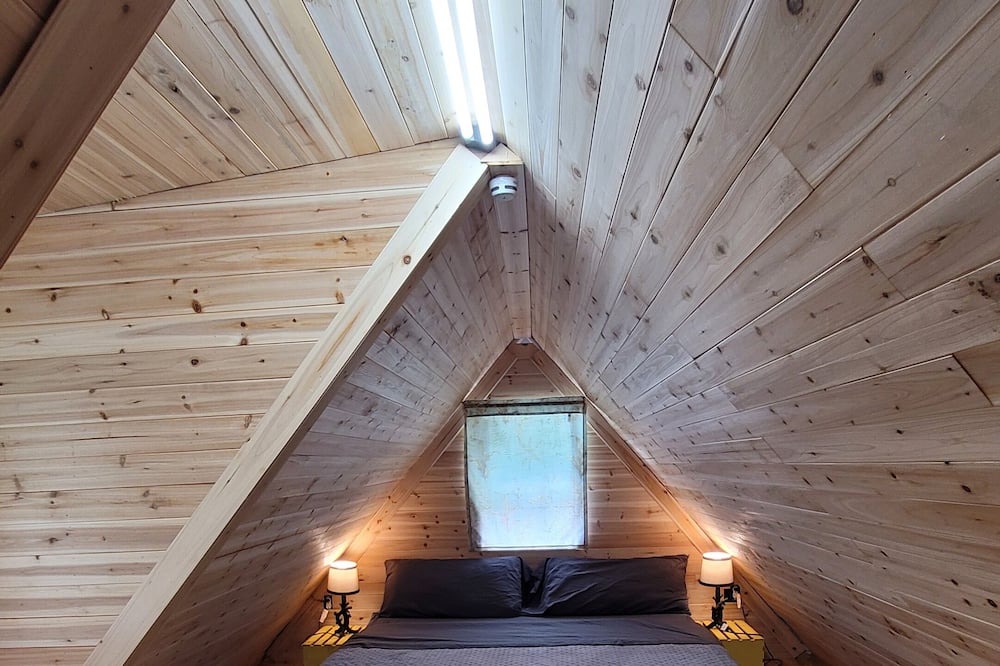 Photo of Others in Fern Forest