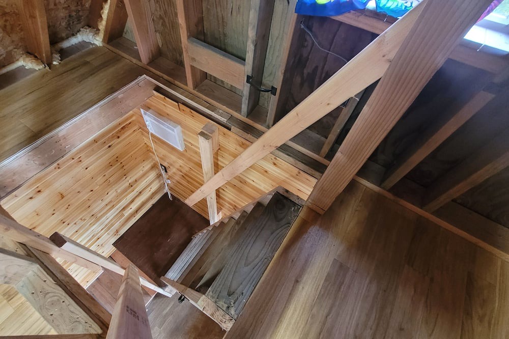 Photo of Others in Fern Forest