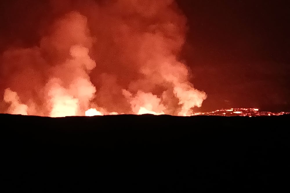 Photo of Others in Fern Forest
