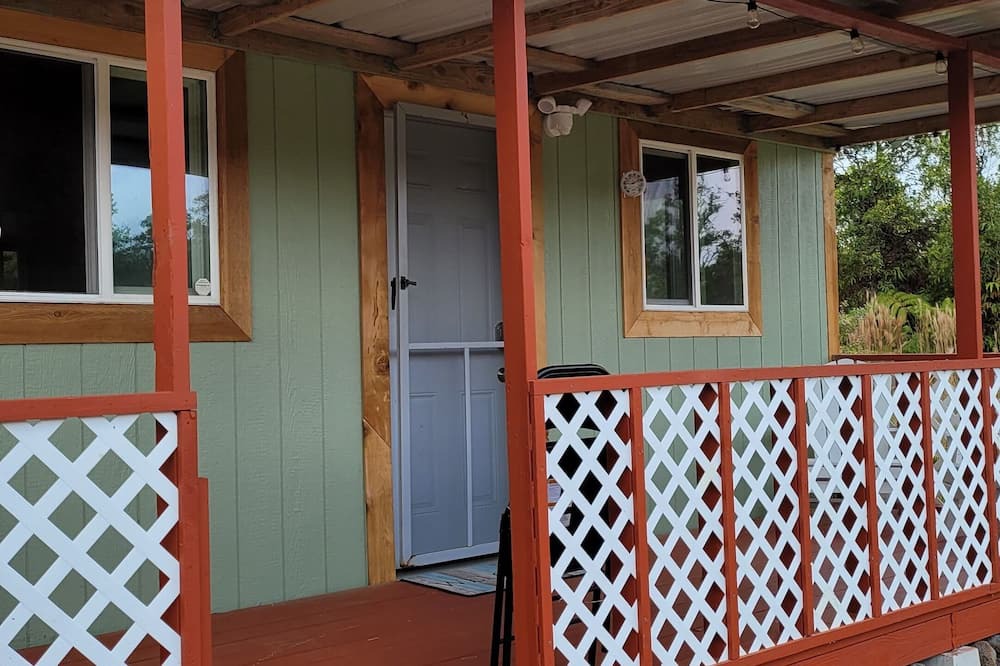 Photo of Outdoor in Fern Forest