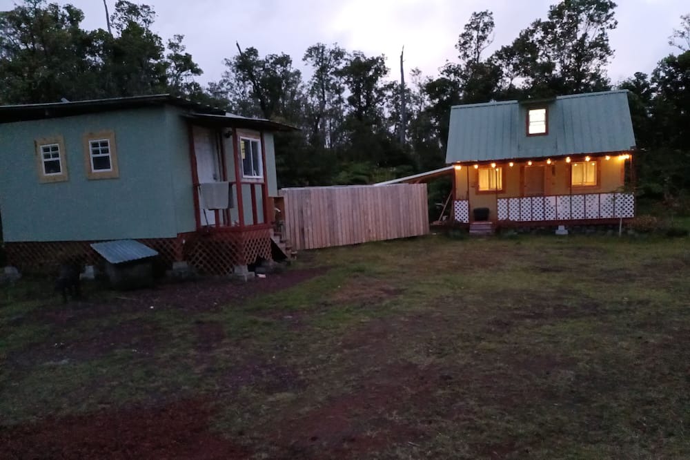 Photo of Outdoor in Fern Forest