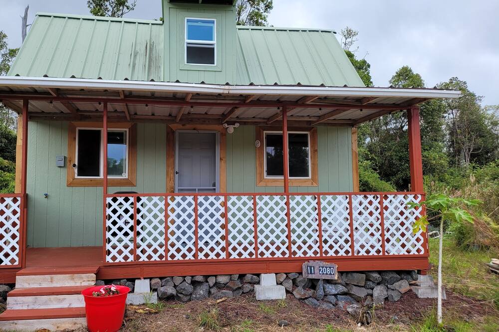 Photo of Others in Fern Forest