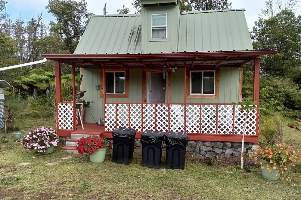 Photo of Others in Fern Forest