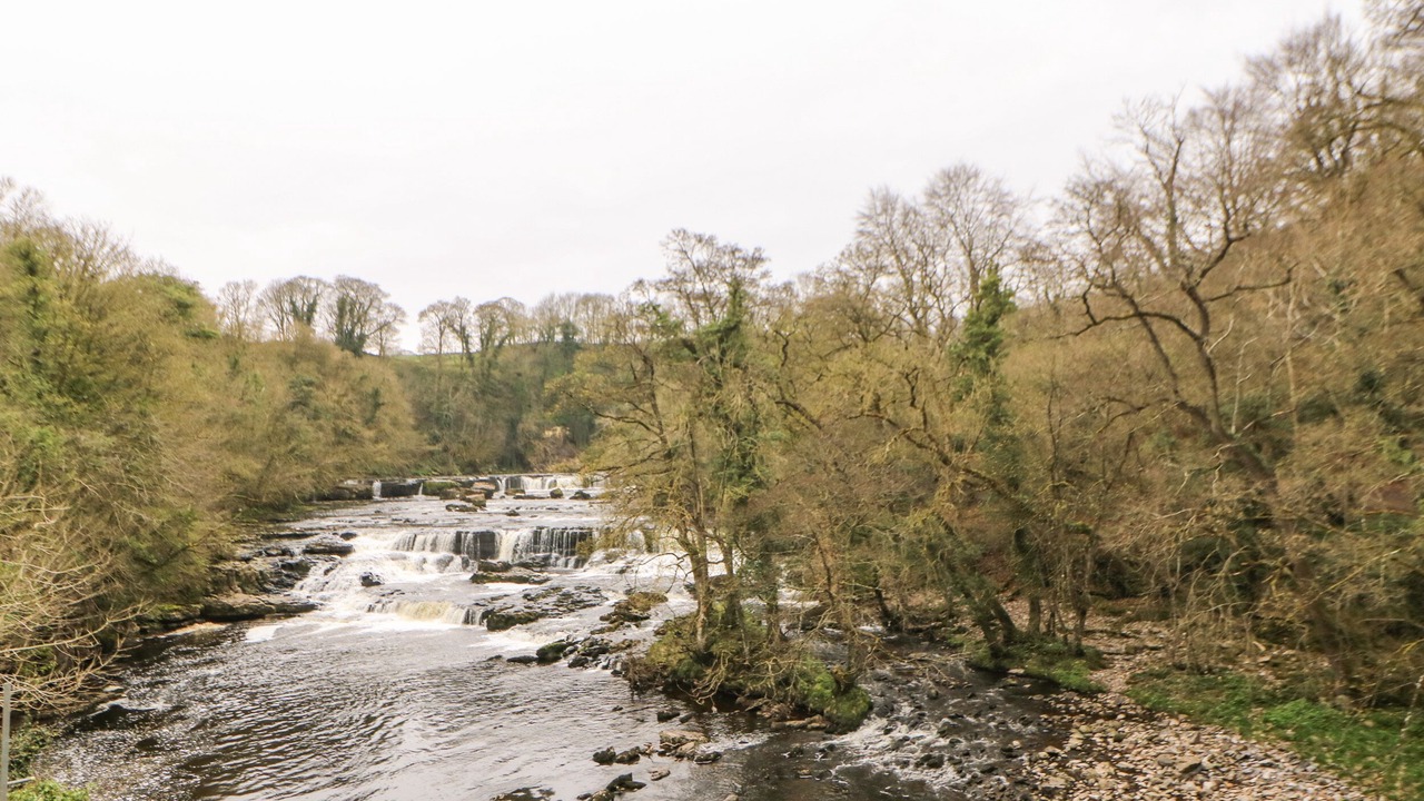 Photo of Others in Redmire