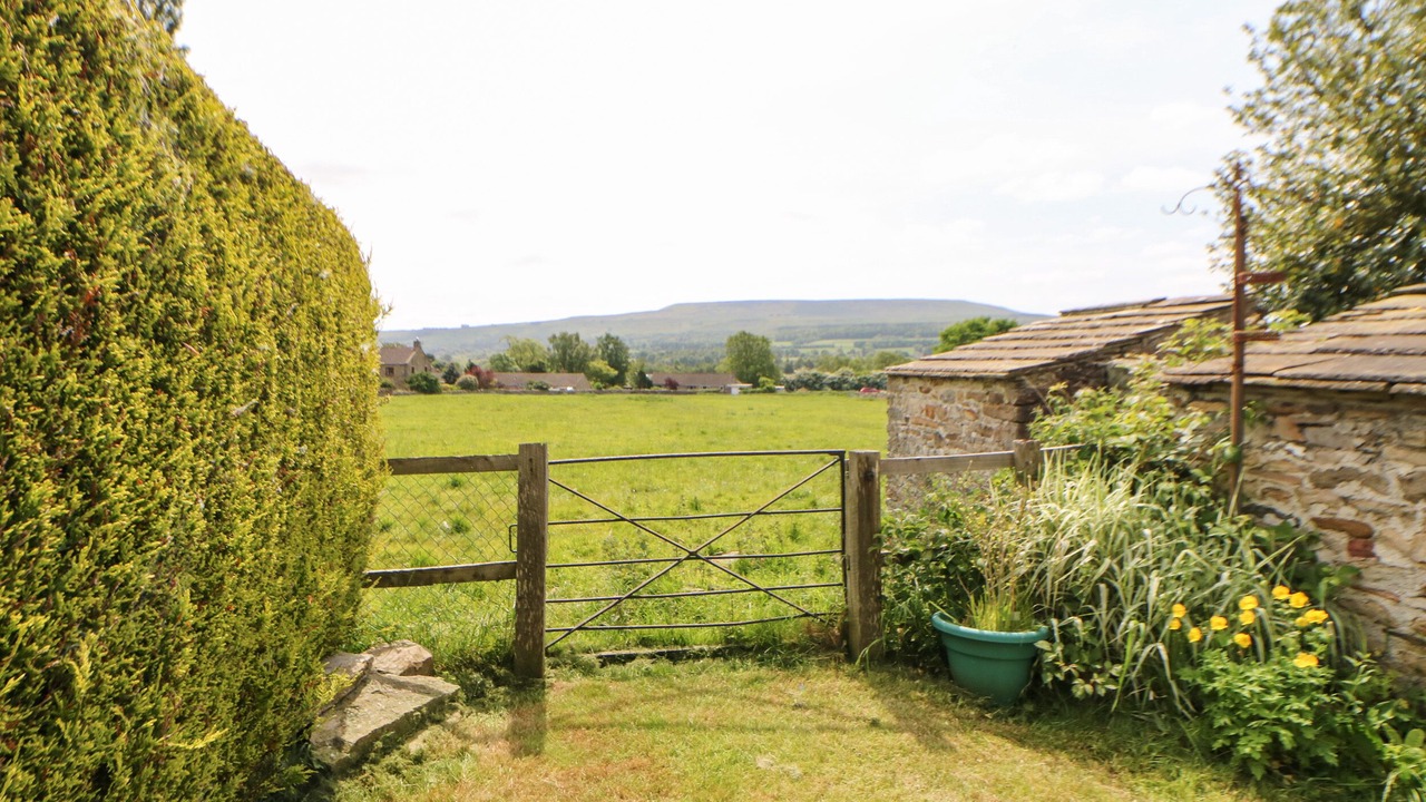 Photo of Outdoor in Redmire