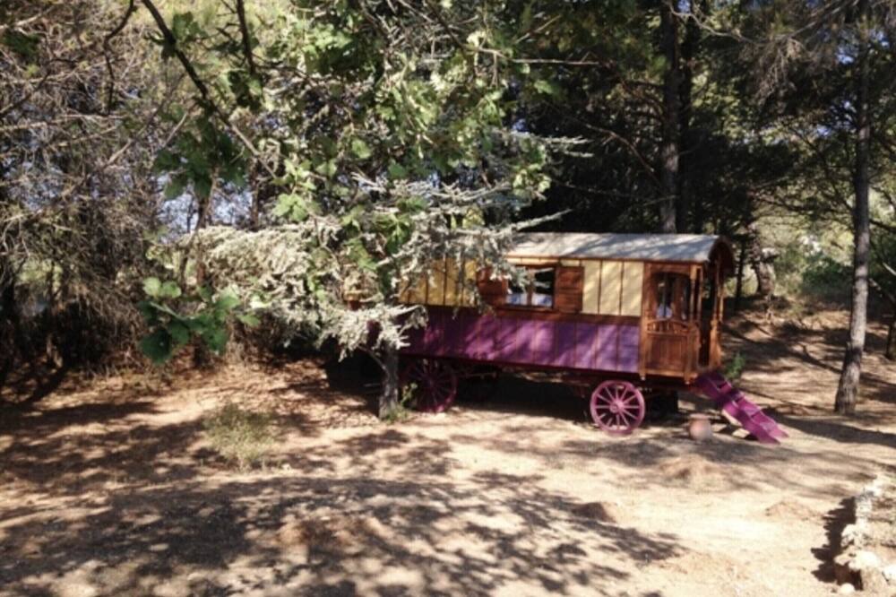 Photo of Outdoor in Puyvert