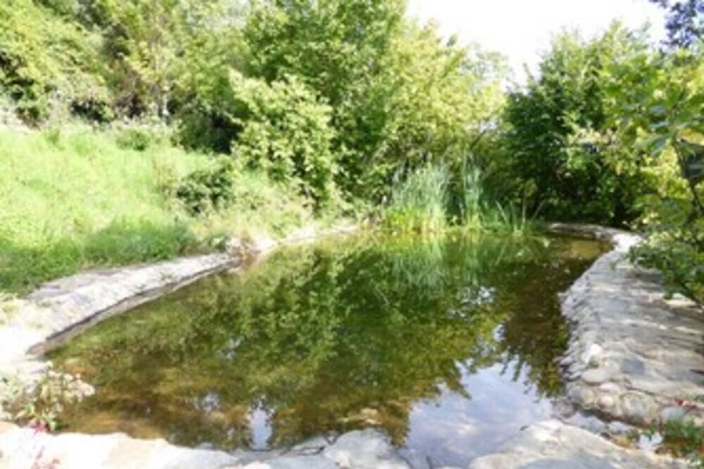 Photo of Outdoor in Saint-Pierre-Saint-Jean