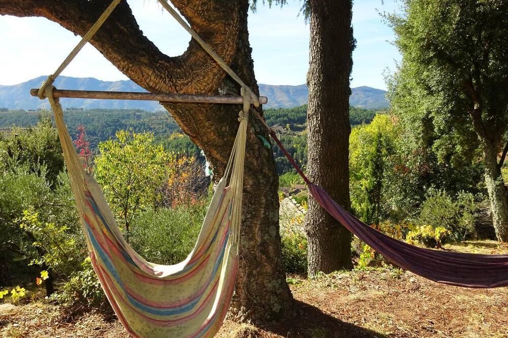 Photo of Outdoor in Saint-Pierre-Saint-Jean