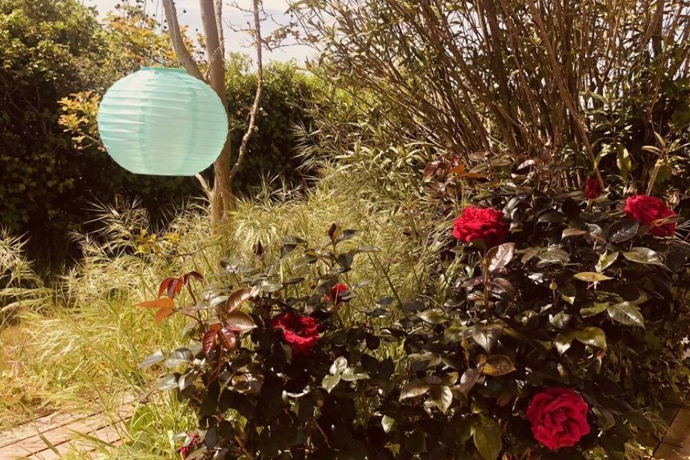 Photo of Outdoor in Arvert