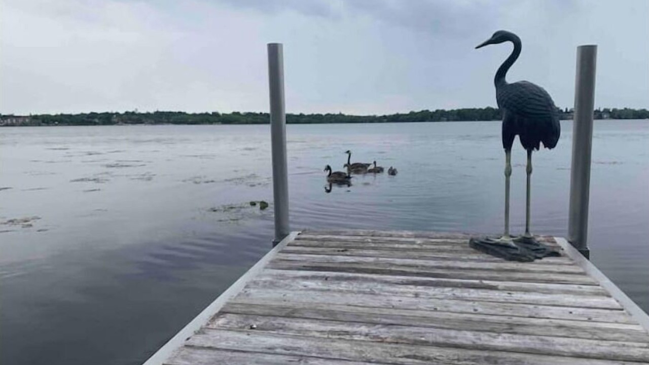 Photo of Outdoor in Scugog
