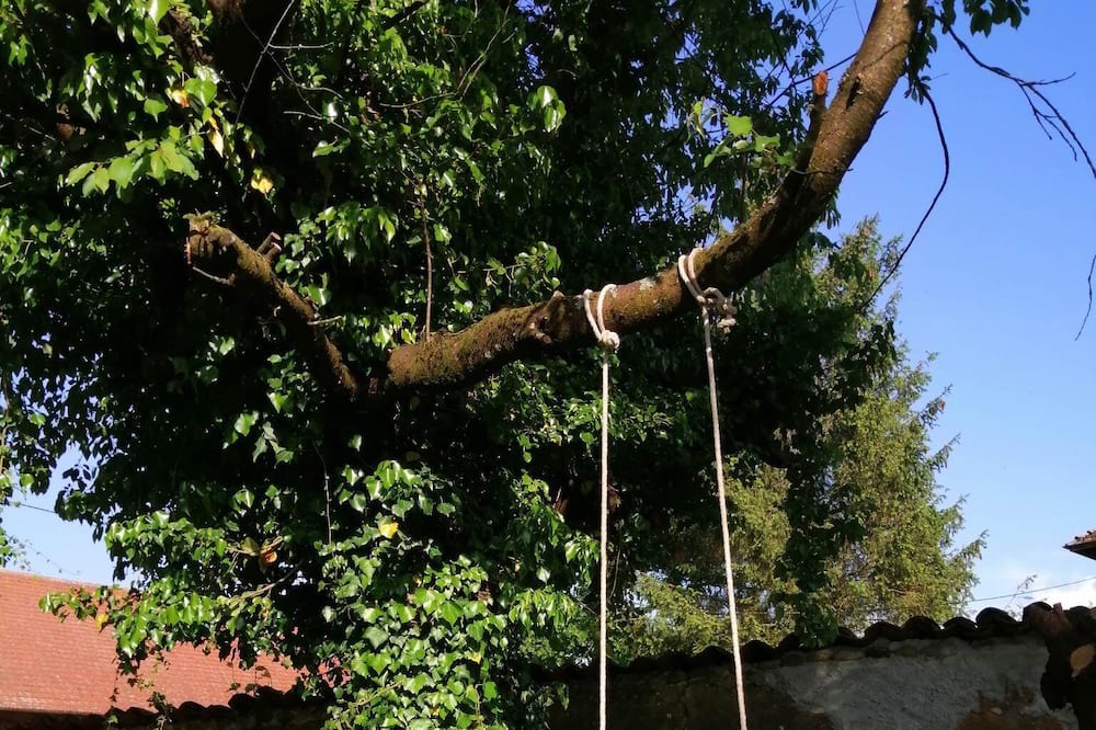 Photo of Outdoor in Badinieres