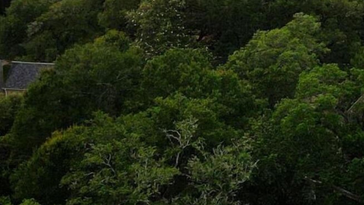 Photo of Outdoor in Highlands - Perkins