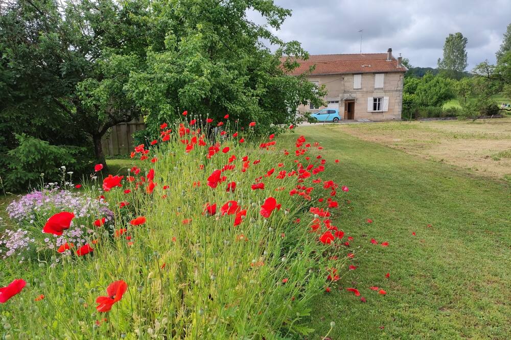 Photo of Outdoor in Loisey