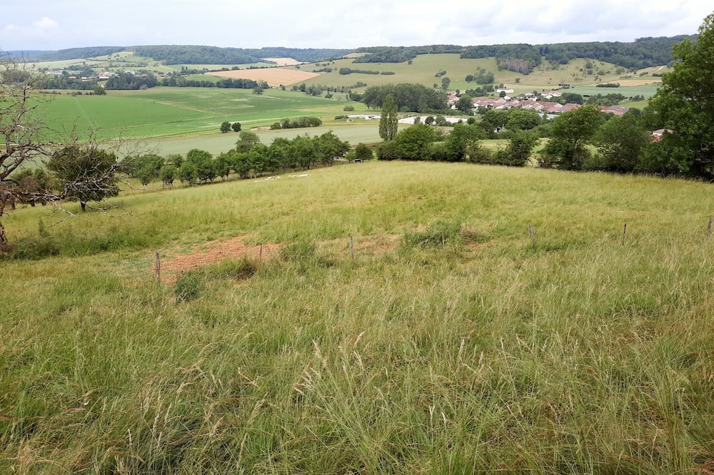 Photo of Others in Loisey