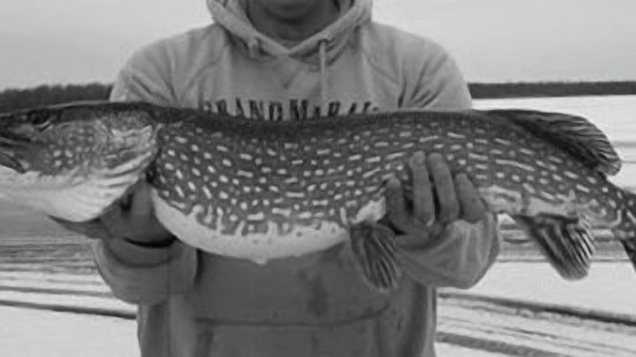 Photo of Others in Osage