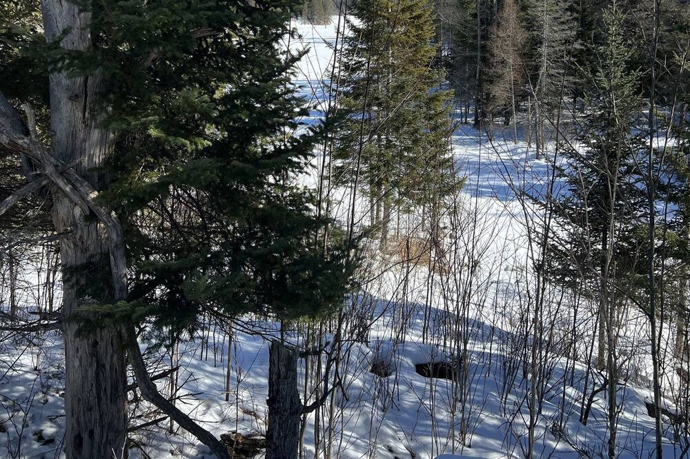 Photo of Others in La Peche