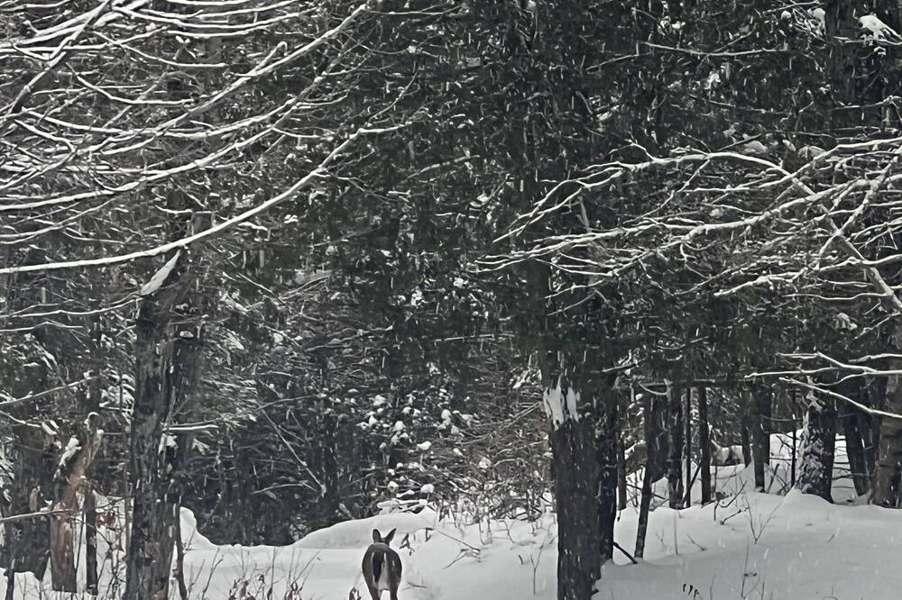 Photo of Others in La Peche