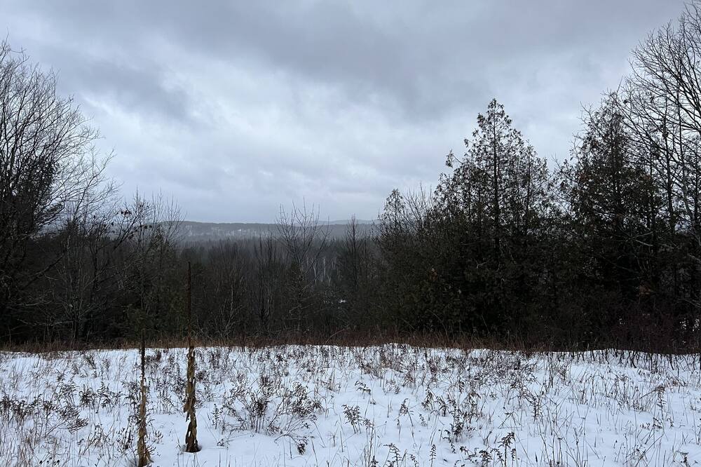 Photo of Others in La Peche