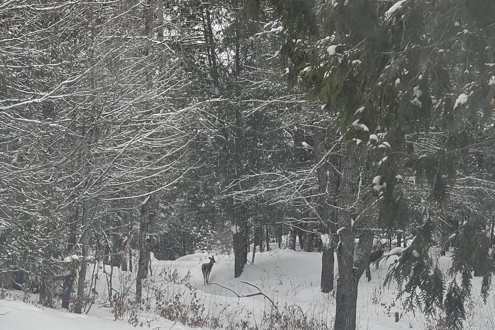 Photo of Others in La Peche