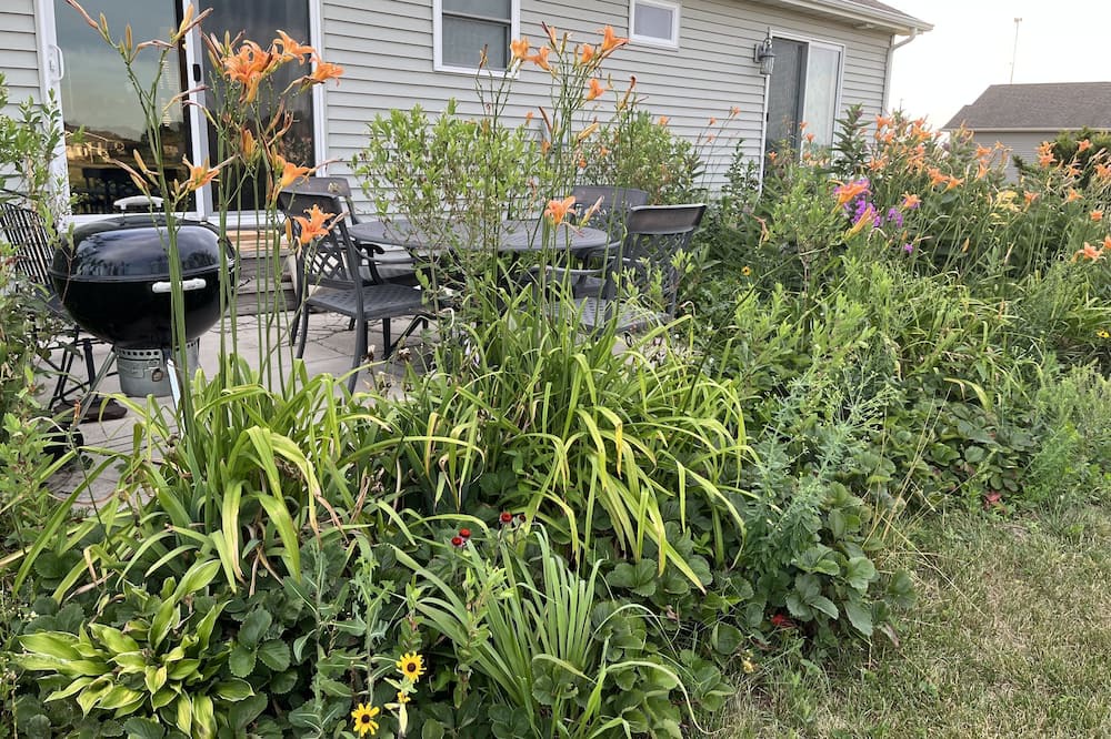 Photo of Outdoor in Tefft