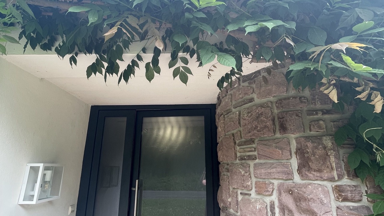 Photo of Outdoor in Salies-de-Bearn