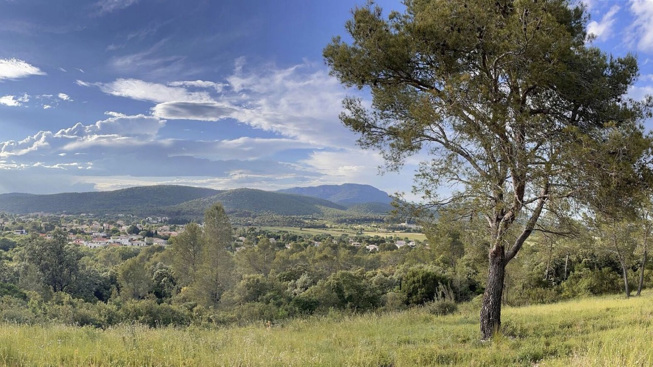 Photo of Outdoor in Les Matelles