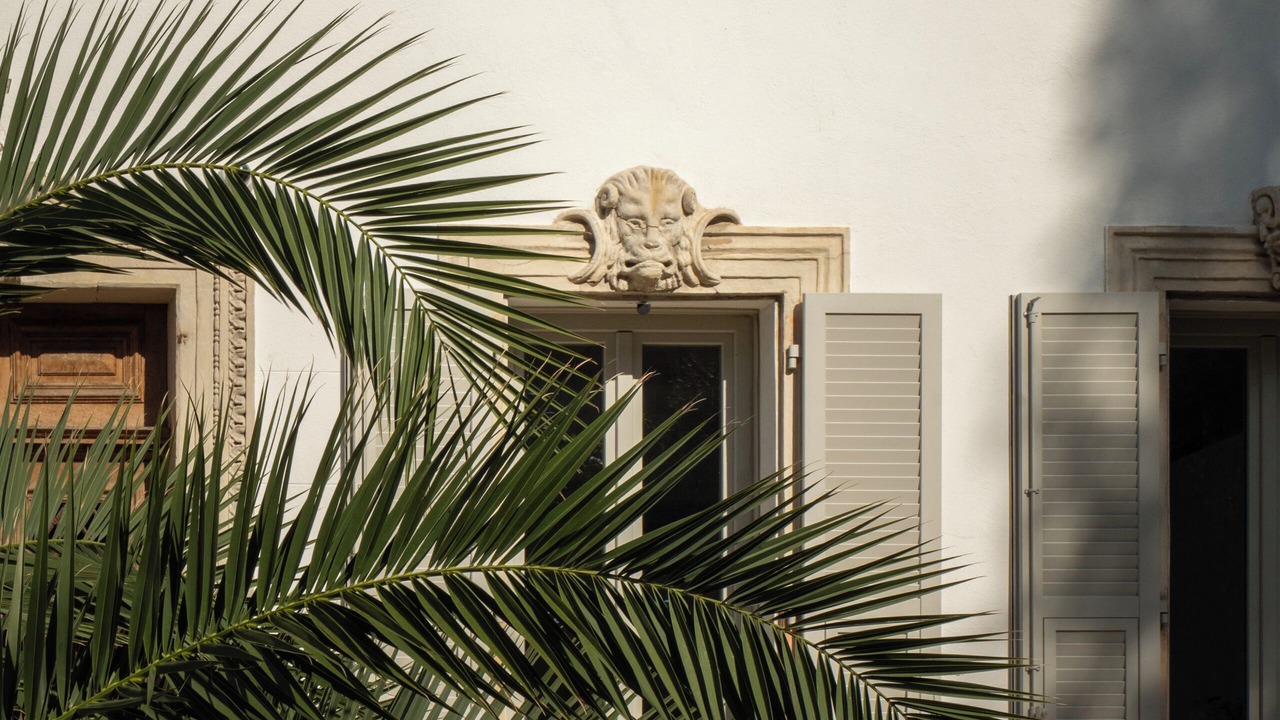 Photo of Outdoor in Golfe Juan